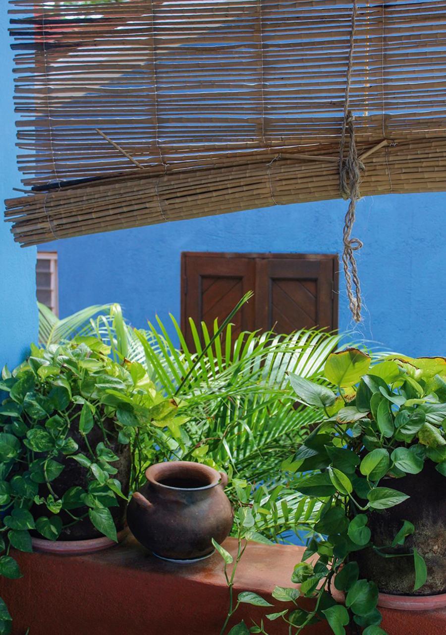 Casa Azul Ξενοδοχείο San Agustinillo Εξωτερικό φωτογραφία